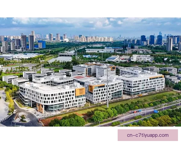 丰特:发展视听数字业务保市场运转 丰特:发展视听数字业务保市场运转